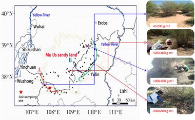 Simulated Experiment on Wind Erosion Resistance of Salix Residual in the Agro-Pastoral Ecotone